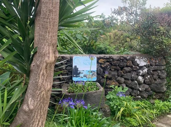 Quinta Do Norte - Biscoitos