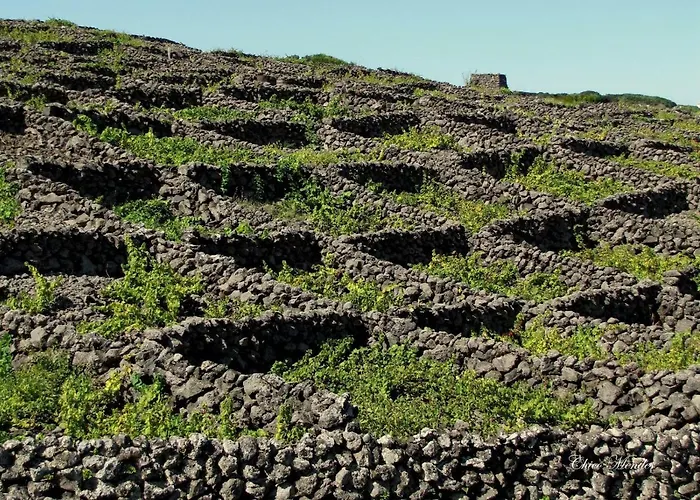 Quinta Do Norte - Biscoitos