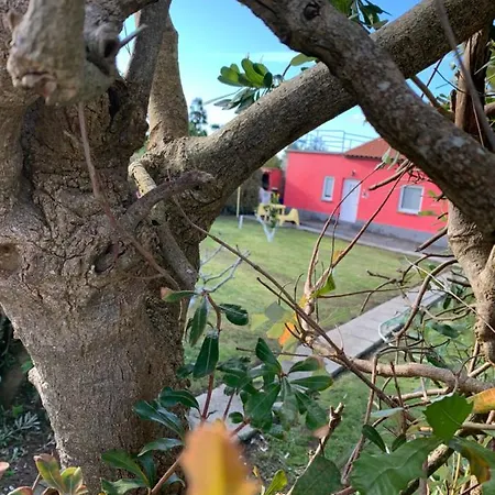 Quinta Do Norte - Biscoitos *