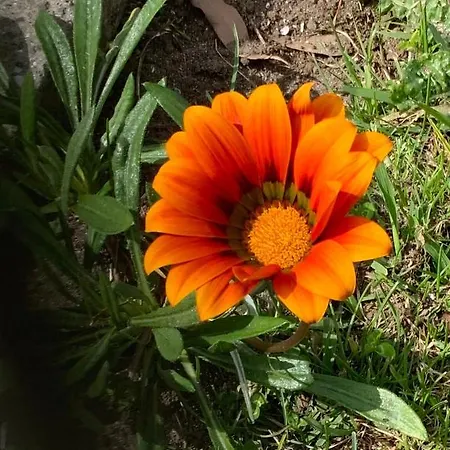 Quinta Do Norte - Biscoitos Dom wakacyjny