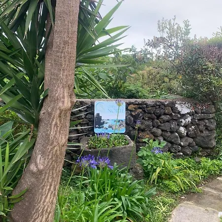 Quinta Do Norte - Biscoitos