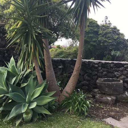 Quinta Do Norte - Biscoitos * Angra do Heroísmo