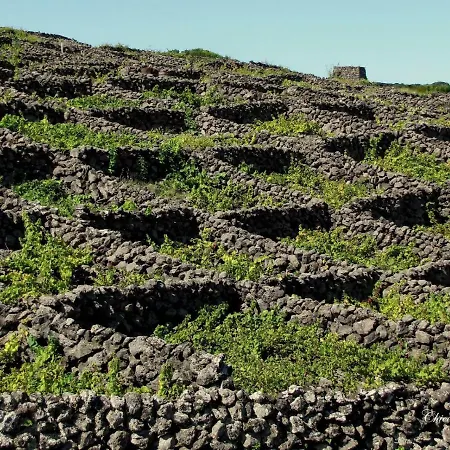 Quinta Do Norte - Biscoitos