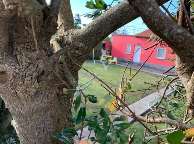 Quinta Do Norte - Biscoitos *