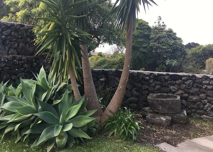 Quinta Do Norte - Biscoitos * Angra do Heroismo